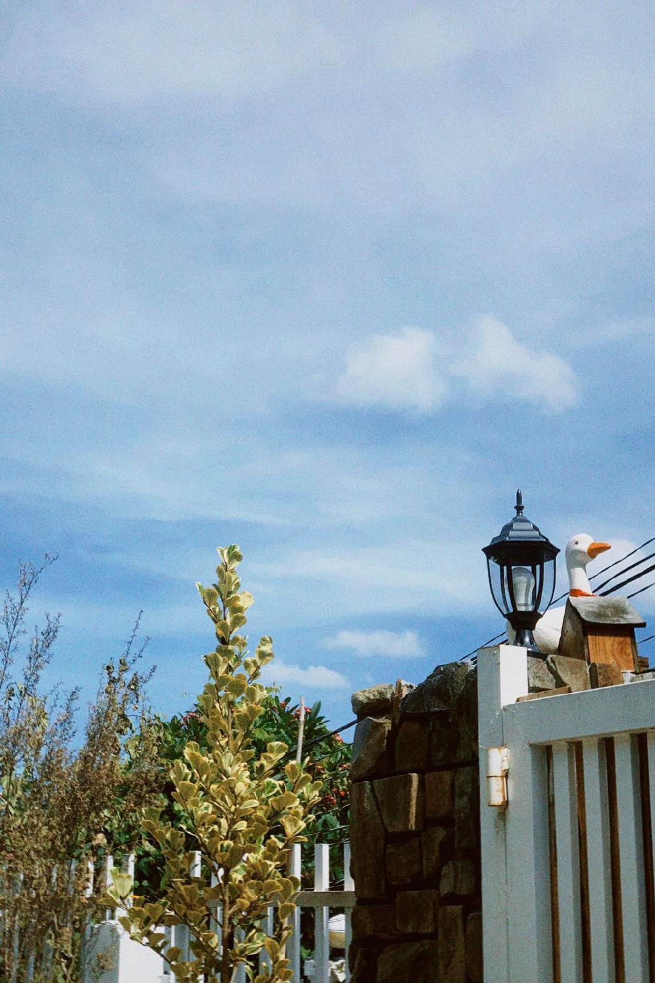 Chai Nho Homestay Dalat Bagian luar foto