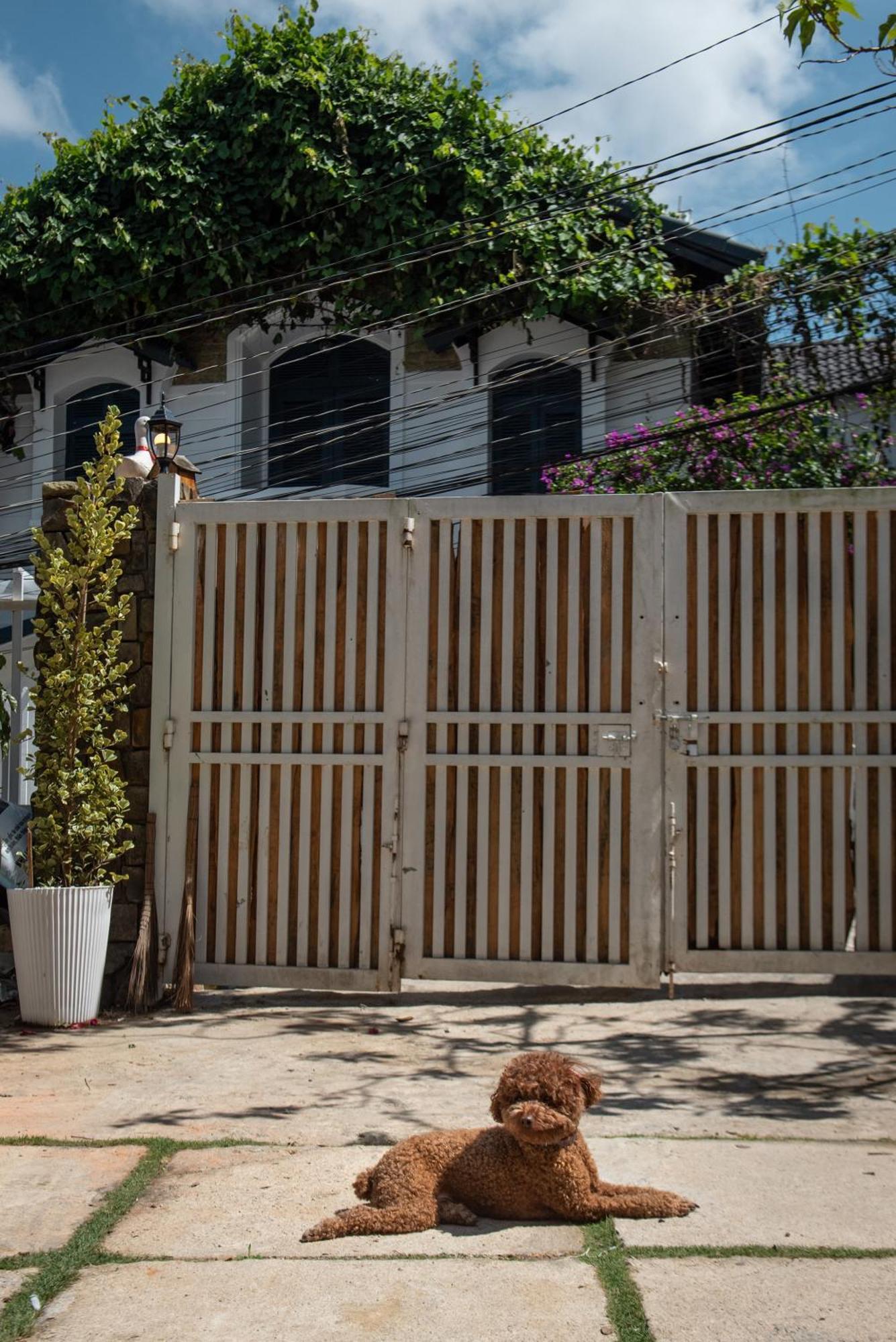 Chai Nho Homestay Dalat Bagian luar foto