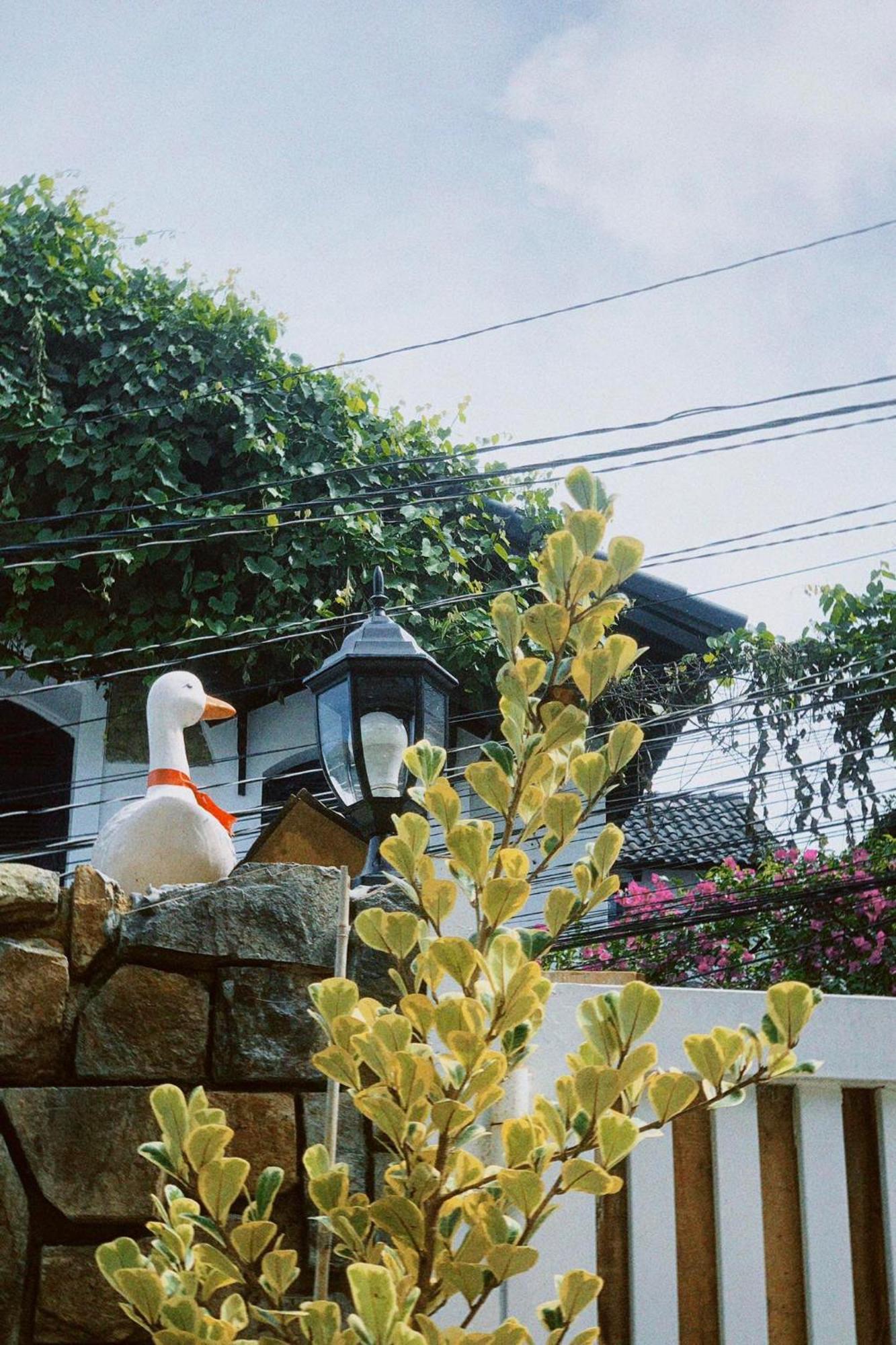 Chai Nho Homestay Dalat Bagian luar foto
